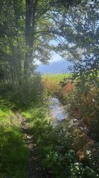 WhatsApp Image 2025 09 26 At 10.14.20 1